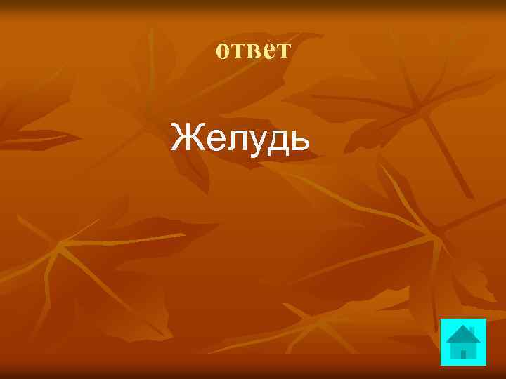 ответ Желудь 