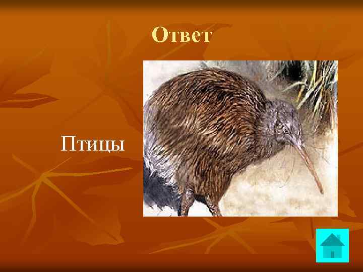 Ответ Птицы 