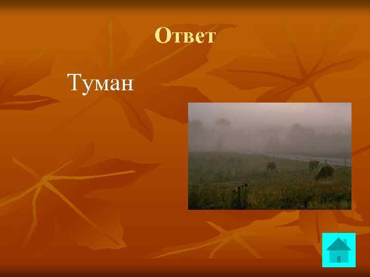 Ответ Туман 