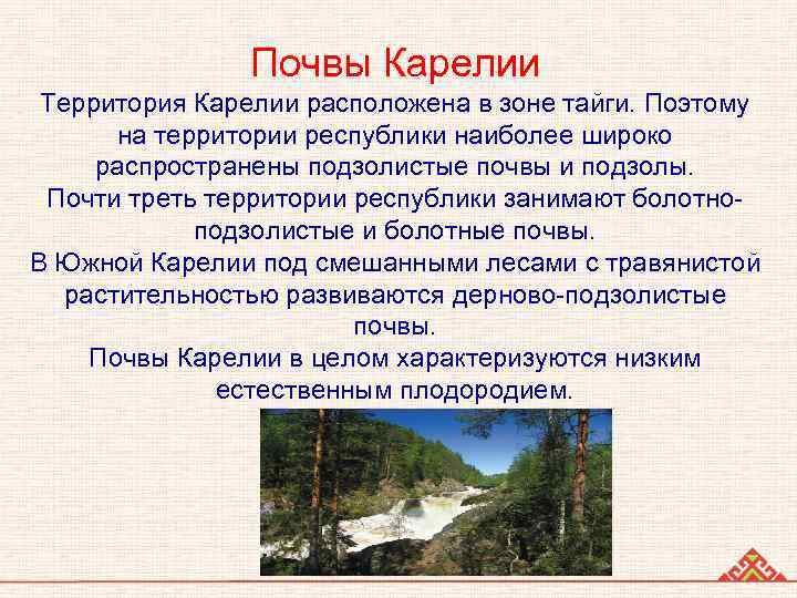 Почвы Карелии Территория Карелии расположена в зоне тайги. Поэтому на территории республики наиболее широко