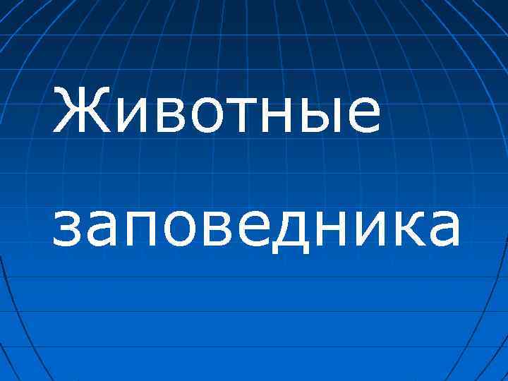 Животные заповедника 