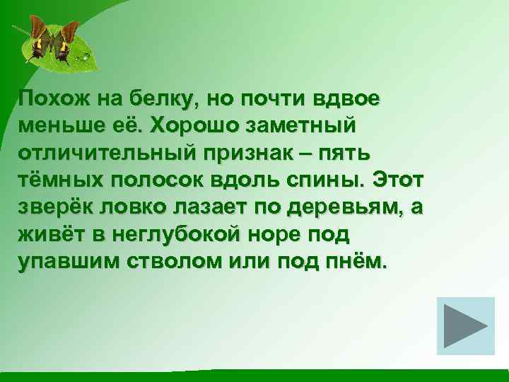 Похож на белку, но почти вдвое меньше её. Хорошо заметный отличительный признак – пять