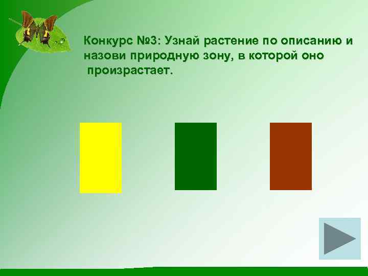 Конкурс № 3: Узнай растение по описанию и назови природную зону, в которой оно