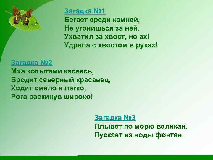 Загадка № 1 Бегает среди камней, Не угонишься за ней. Ухватил за хвост, но