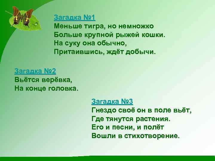 Загадка № 1 Меньше тигра, но немножко Больше крупной рыжей кошки. На суку она