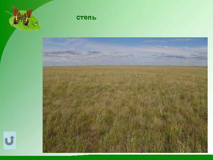 степь 