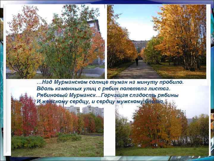 …Над Мурманском солнце туман на минуту пробило. Вдоль каменных улиц с рябин полетела листва.