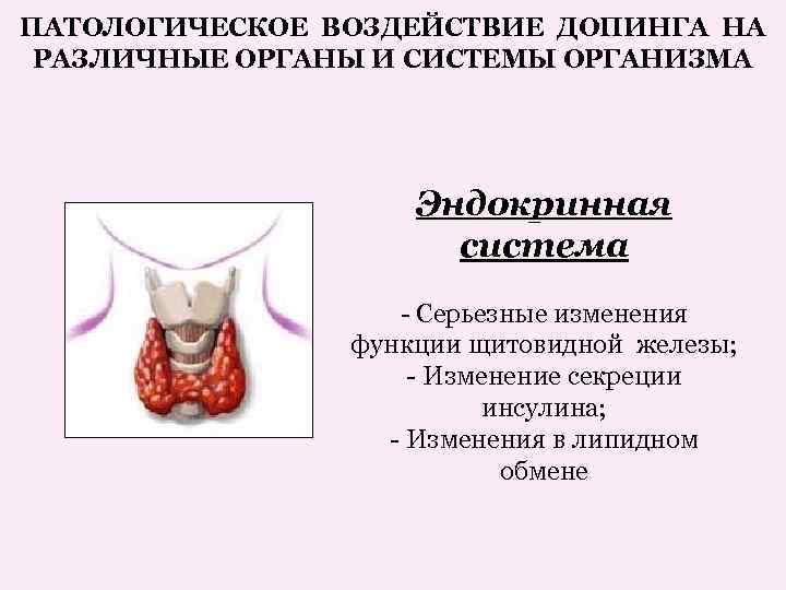 ПАТОЛОГИЧЕСКОЕ ВОЗДЕЙСТВИЕ ДОПИНГА НА РАЗЛИЧНЫЕ ОРГАНЫ И СИСТЕМЫ ОРГАНИЗМА Эндокринная система - Серьезные изменения