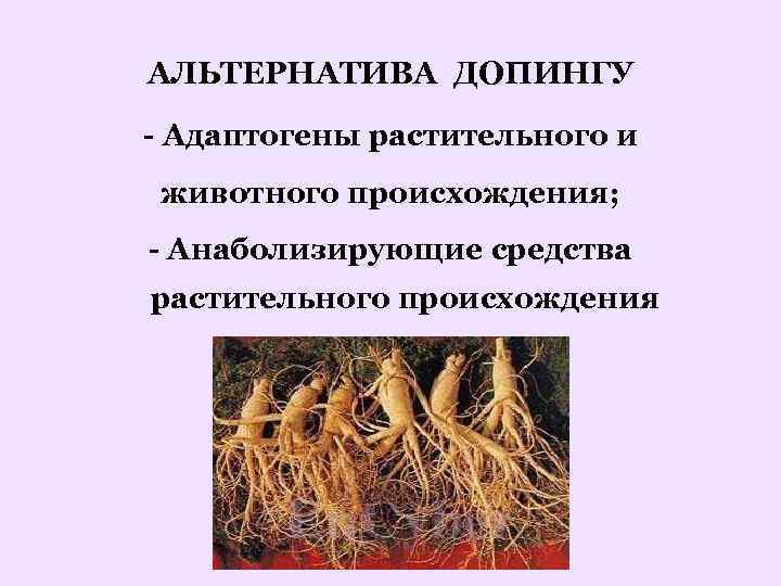 Какой препарат является наиболее перспективным в плане анаболизирующего эффекта