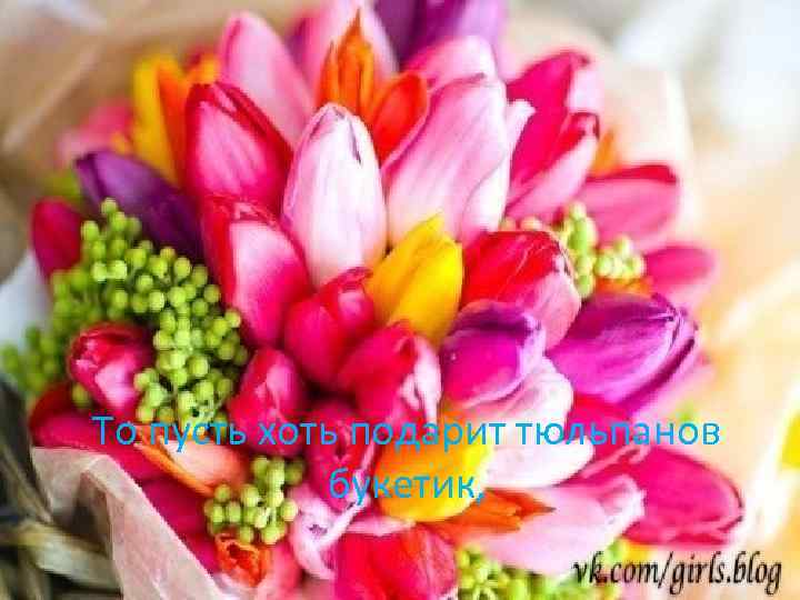 То пусть хоть подарит тюльпанов букетик, 
