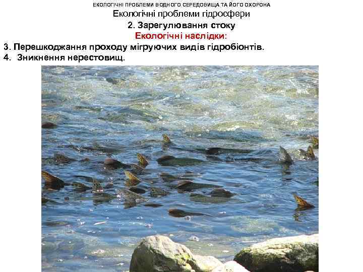 ЕКОЛОГІЧНІ ПРОБЛЕМИ ВОДНОГО СЕРЕДОВИЩА ТА ЙОГО ОХОРОНА Екологічні проблеми гідросфери 2. Зарегулювання стоку Екологічні
