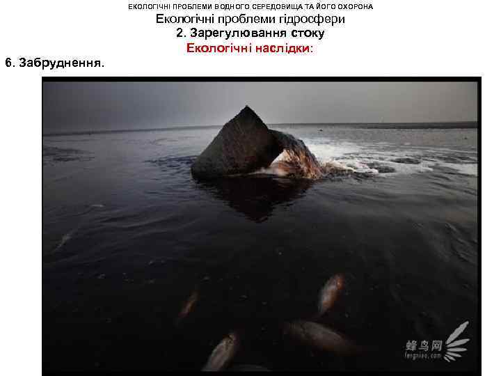 ЕКОЛОГІЧНІ ПРОБЛЕМИ ВОДНОГО СЕРЕДОВИЩА ТА ЙОГО ОХОРОНА Екологічні проблеми гідросфери 2. Зарегулювання стоку Екологічні