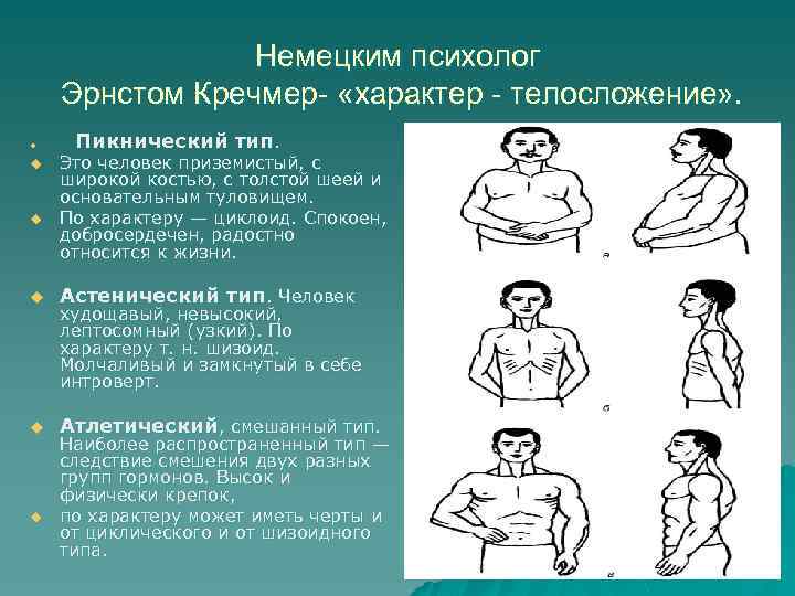 Немецким психолог Эрнстом Кречмер- «характер - телосложение» . u u u Пикнический тип. Это