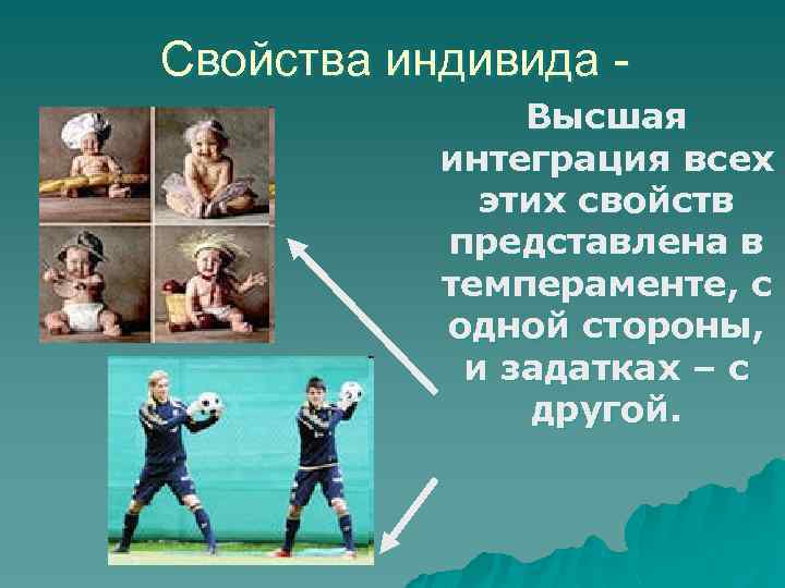 Свойства индивида - Высшая интеграция всех этих свойств представлена в темпераменте, с одной стороны,