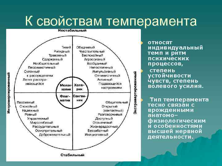 К свойствам темперамента u u u относят индивидуальный темп и ритм психических процессов, степень