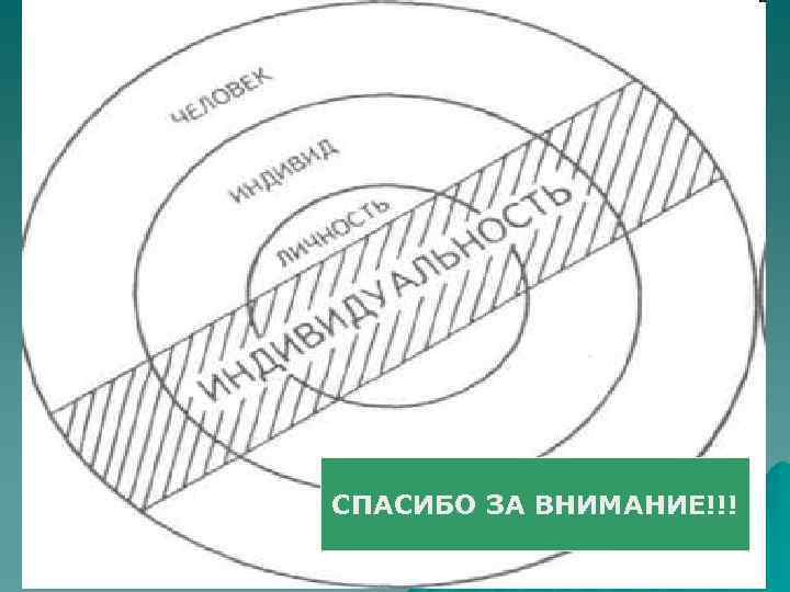 СПАСИБО ЗА ВНИМАНИЕ!!! 