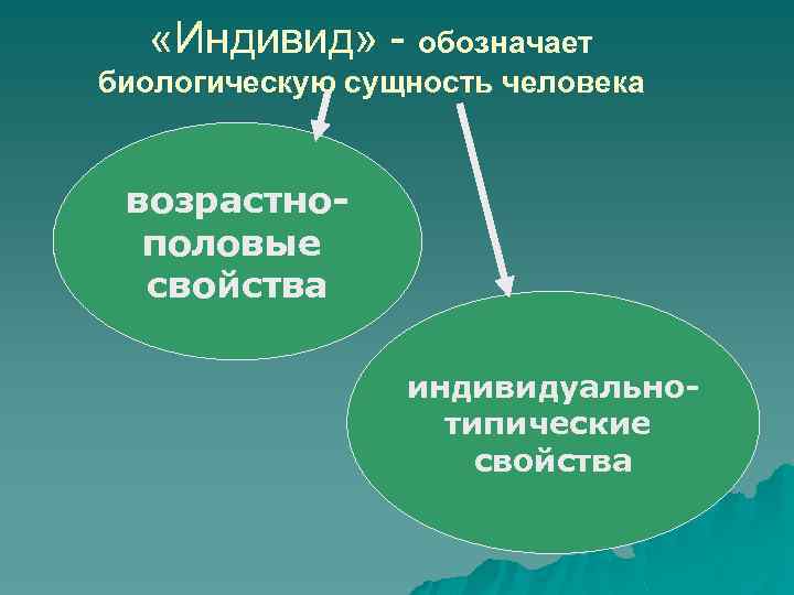  «Индивид» - обозначает биологическую сущность человека возрастнополовые свойства индивидуальнотипические свойства 