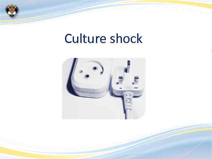 Culture shock and adaptation for a different culture 