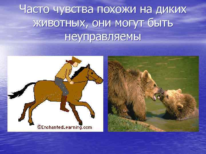 Часто чувства похожи на диких животных, они могут быть неуправляемы 