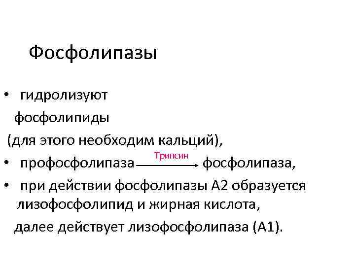 Фосфолипазы • гидролизуют фосфолипиды (для этого необходим кальций), Трипсин • профосфолипаза, • при действии