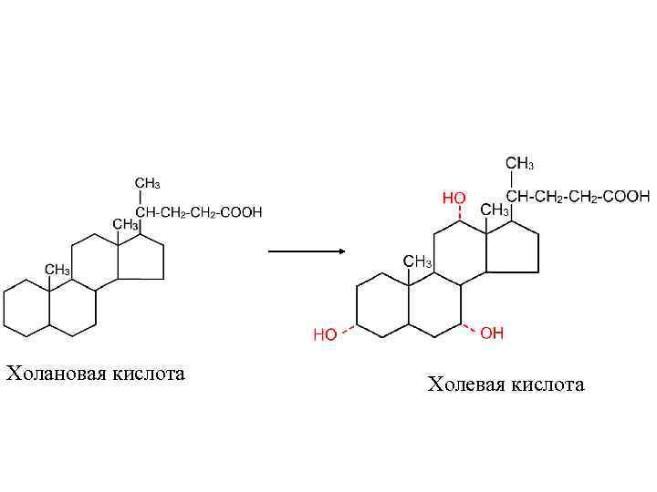 Холановая кислота Холевая кислота 