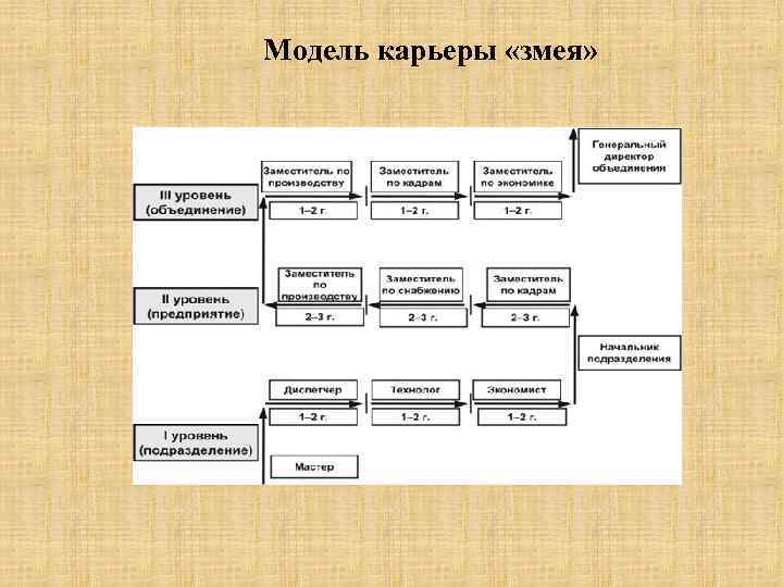 Модели карьеры. Модель карьеры змея. Модель служебной карьеры змея. Модель карьеры 