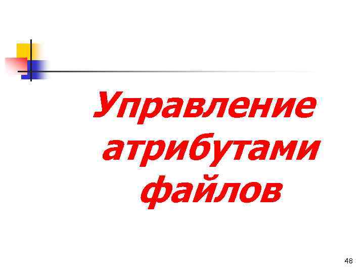 Управление атрибутами файлов 48 