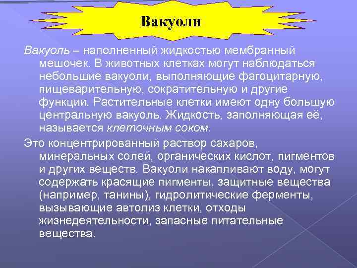 Вакуоли Вакуоль – наполненный жидкостью мембранный мешочек. В животных клетках могут наблюдаться небольшие вакуоли,