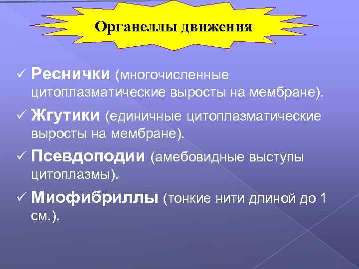 Органеллы движения ü Реснички (многочисленные цитоплазматические выросты на мембране). ü Жгутики (единичные цитоплазматические выросты