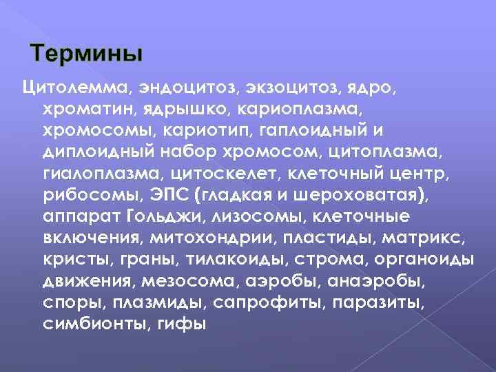 Термины Цитолемма, эндоцитоз, экзоцитоз, ядро, хроматин, ядрышко, кариоплазма, хромосомы, кариотип, гаплоидный и диплоидный набор