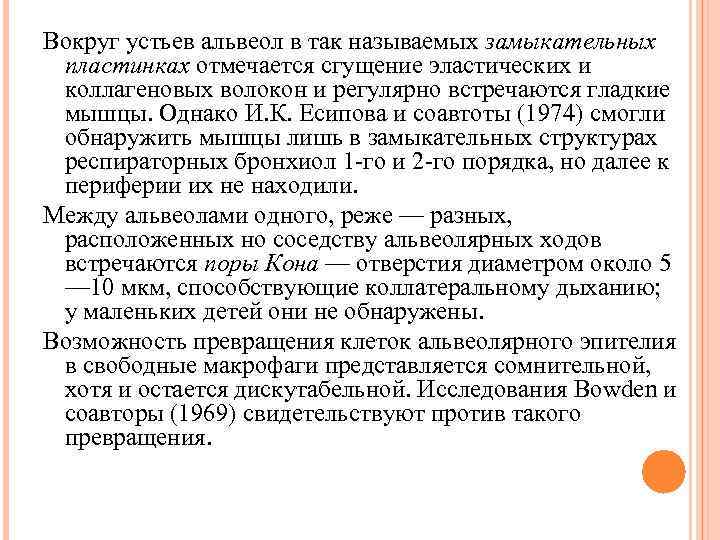 Вокруг устьев альвеол в так называемых замыкательных пластинках отмечается сгущение эластических и коллагеновых волокон