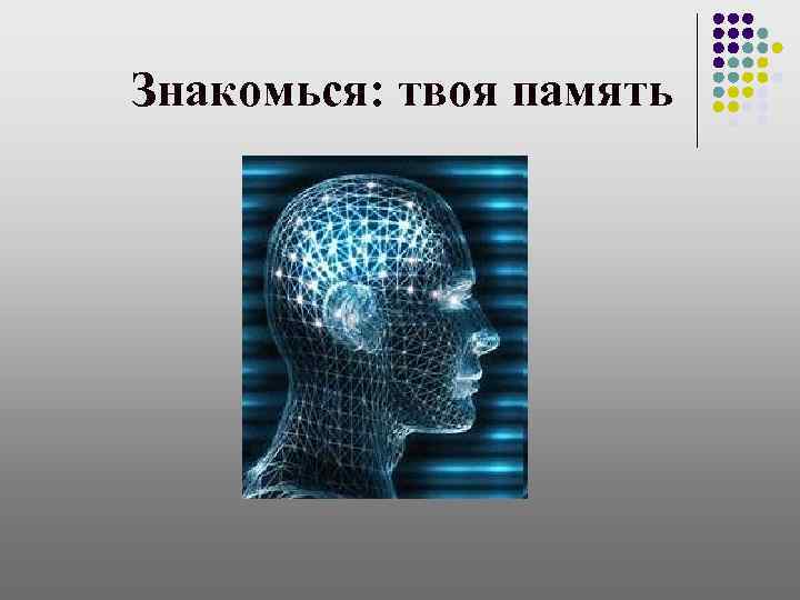 Знакомься: твоя память 