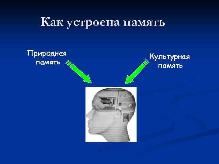 Как устроена память Природная память Культурная память 