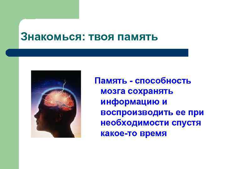 Знакомься: твоя память Память - способность мозга сохранять информацию и воспроизводить ее при необходимости