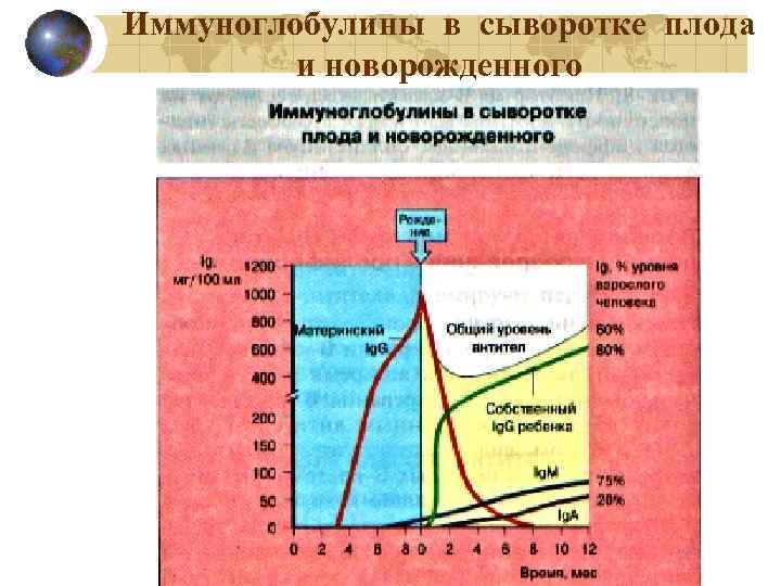 Иммуноглобулины в сыворотке плода и новорожденного 