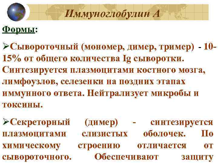 Иммуноглобулин А Формы: ØСывороточный (мономер, димер, тример) - 1015% от общего количества Ig сыворотки.