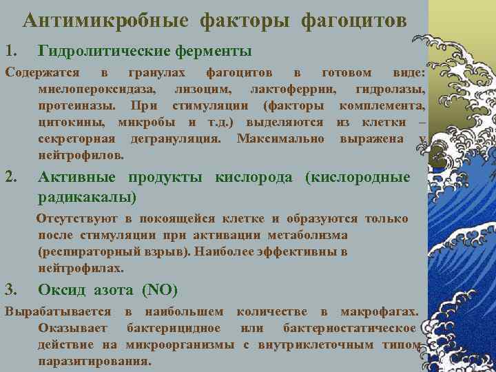 Наличие гидролитических ферментов. Гидролитические ферменты. Содержит гидролитические ферменты. Гидролитические ферменты где. Гидролитические ферменты и их роль в пищевых технологиях.