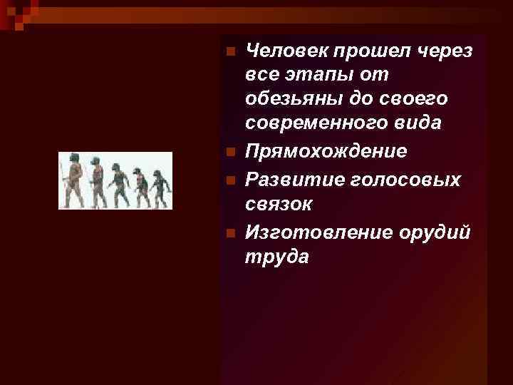 n n Человек прошел через все этапы от обезьяны до своего современного вида Прямохождение