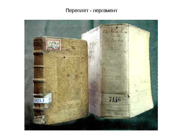 Переплет - пергамент 