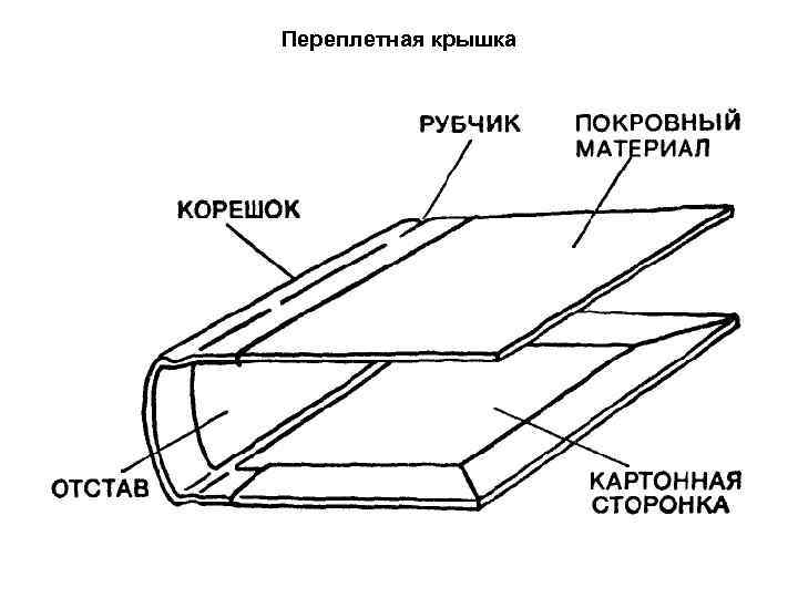 Технология конструкция пружина из полос картона. Переплетная крышка. Составная переплетная крышка. Составной переплет. Строение переплетной крышки.