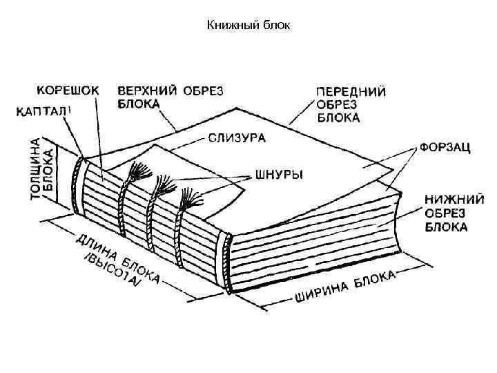 Книжный блок 