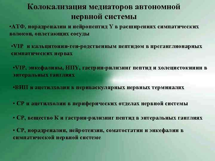 Колокализация медиаторов автономной нервной системы • АТФ, норадреналин и нейропептид Y в расширениях симпатических