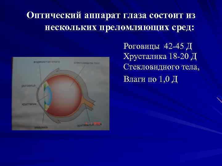 Оптический аппарат глаза состоит из нескольких преломляющих сред: Роговицы 42 -45 Д Хрусталика 18