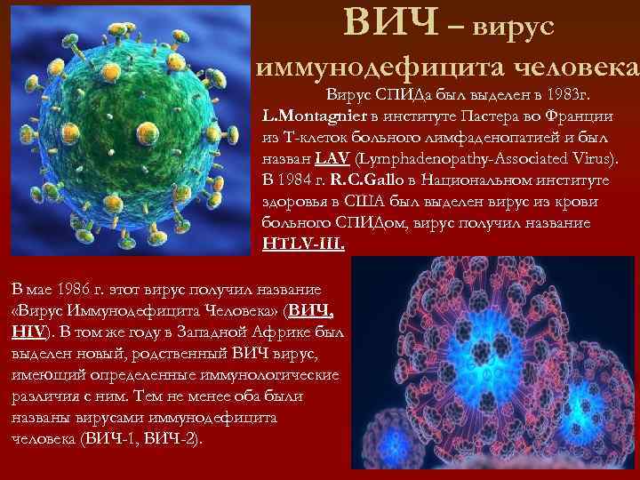 Вирус url. Вирус иммунодефицита человека. Вирус ВИЧ. ВИЧ инфекция вызывается вирусом. Вирус ВИЧ ВИЧ.