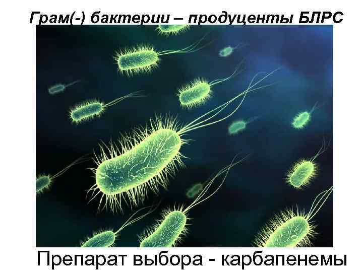 Грам(-) бактерии – продуценты БЛРС Препарат выбора - карбапенемы 