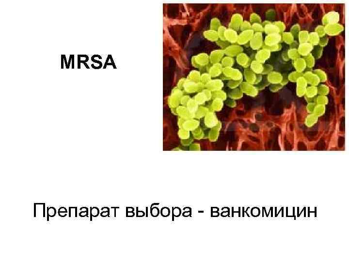 MRSA Препарат выбора - ванкомицин 