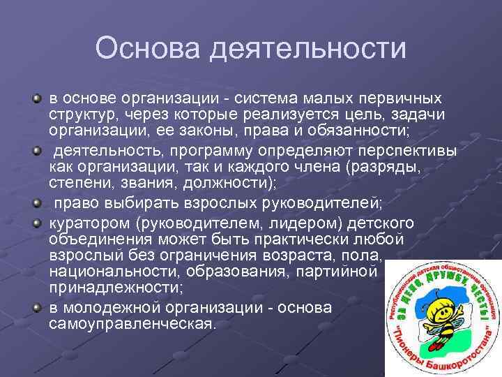 Основа деятельности в основе организации - система малых первичных структур, через которые реализуется цель,