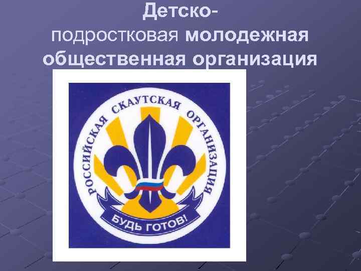 Детскоподростковая молодежная общественная организация 