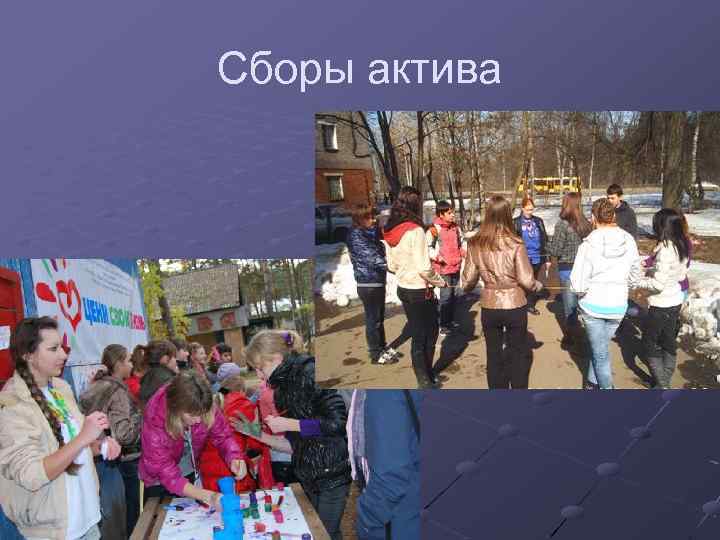 Сборы актива 