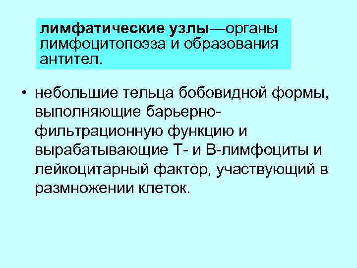 лимфатические узлы—органы лимфоцитопоэза и образования антител. • небольшие тельца бобовидной формы, выполняющие барьернофильтрационную функцию